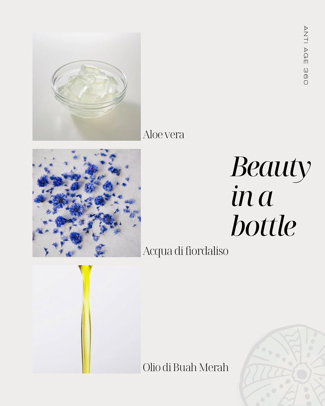 4 in 1 beauty in a bottle